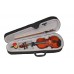 Violino Classico in Acero per Bambini 3-4 anni, Legno Naturale, Grandezza 1/16