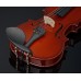 Violino Classico in Acero per Bambini 3-4 anni, Legno Naturale, Grandezza 1/16